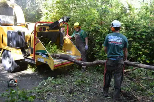 tree services Aptos Hills-Larkin Valley